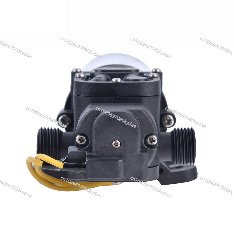 휴대용 LPG 온수기 - 12V DC 펌프 캠핑, 야외 - Outdoor Camping Hot Water Shower 리뷰 및 가격